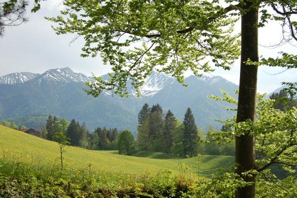 Geführte Wanderungen - Bauernhof Urlaub Oberbayern